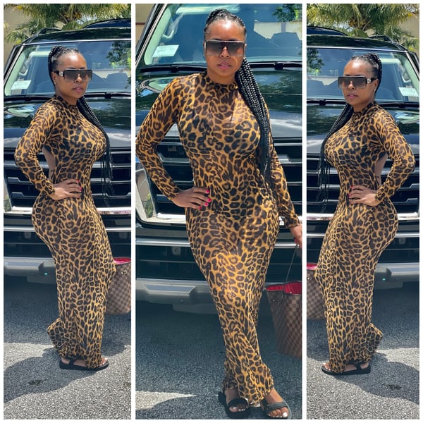 Image of Leopard mesh maxi 