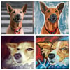 Acrylic Pet Portraits