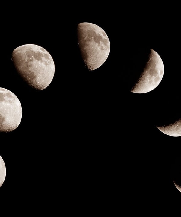 Maramataka Collection Image 4