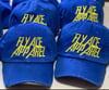 Blue Fly Ace Apparel Distress Hats 