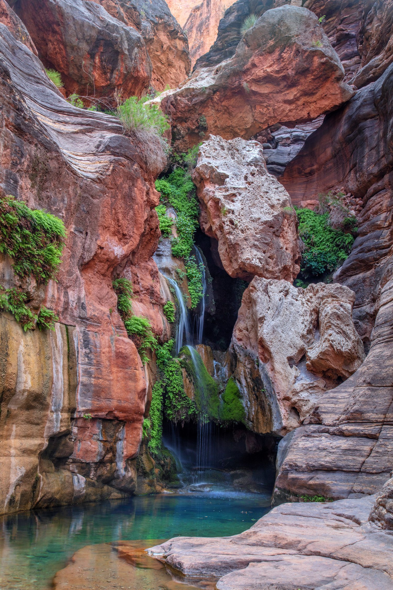 Image of Elves Chasm Glow