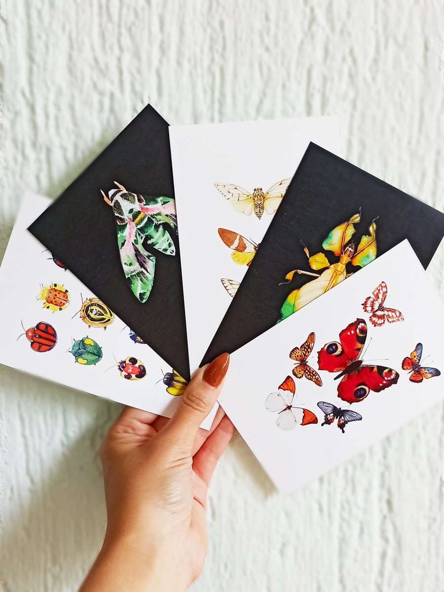 Insect postcards set, bug notecard & insect cards, note card, greeting ...