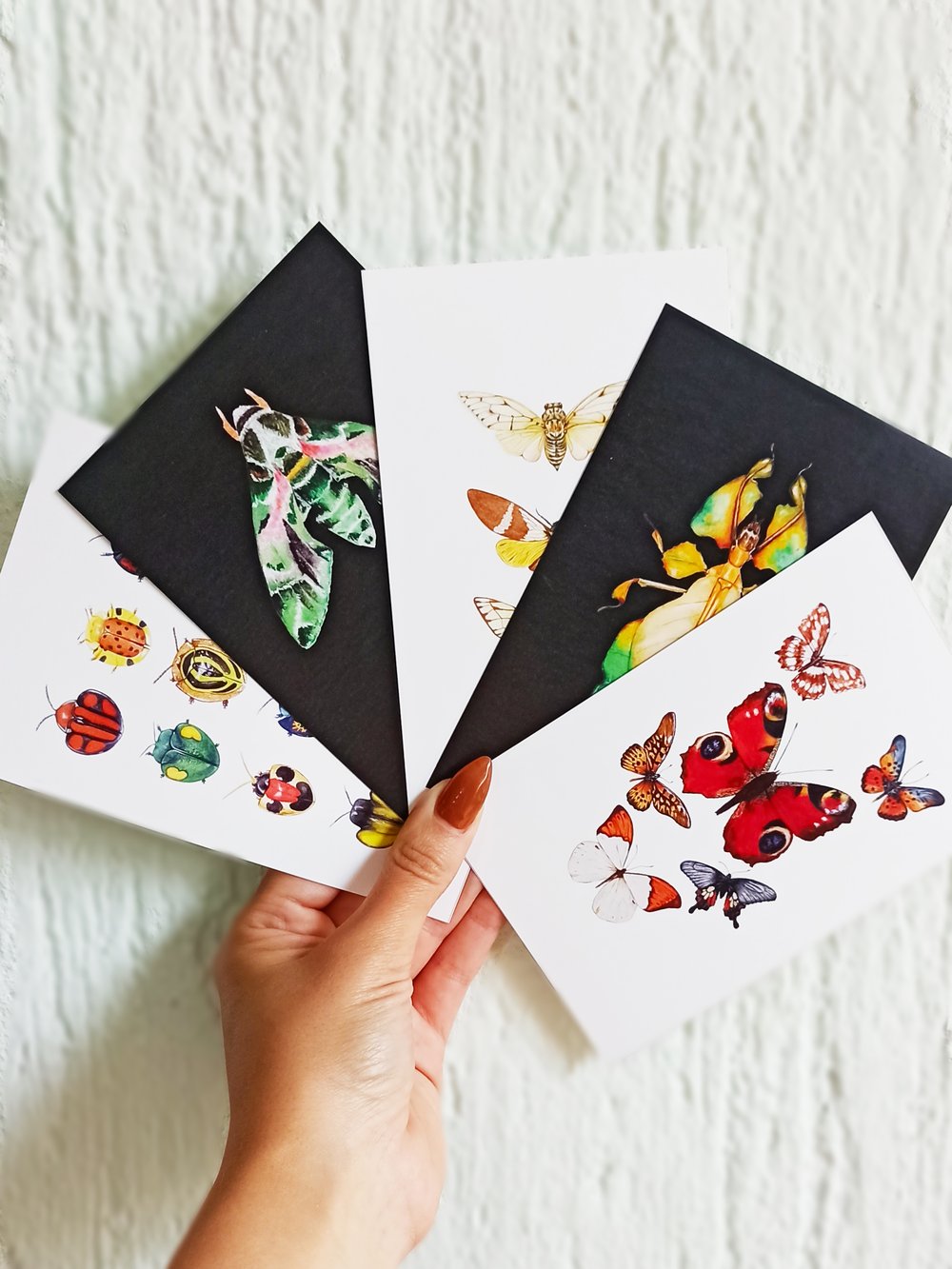Insect Postcard Set | Nussay Art Studio