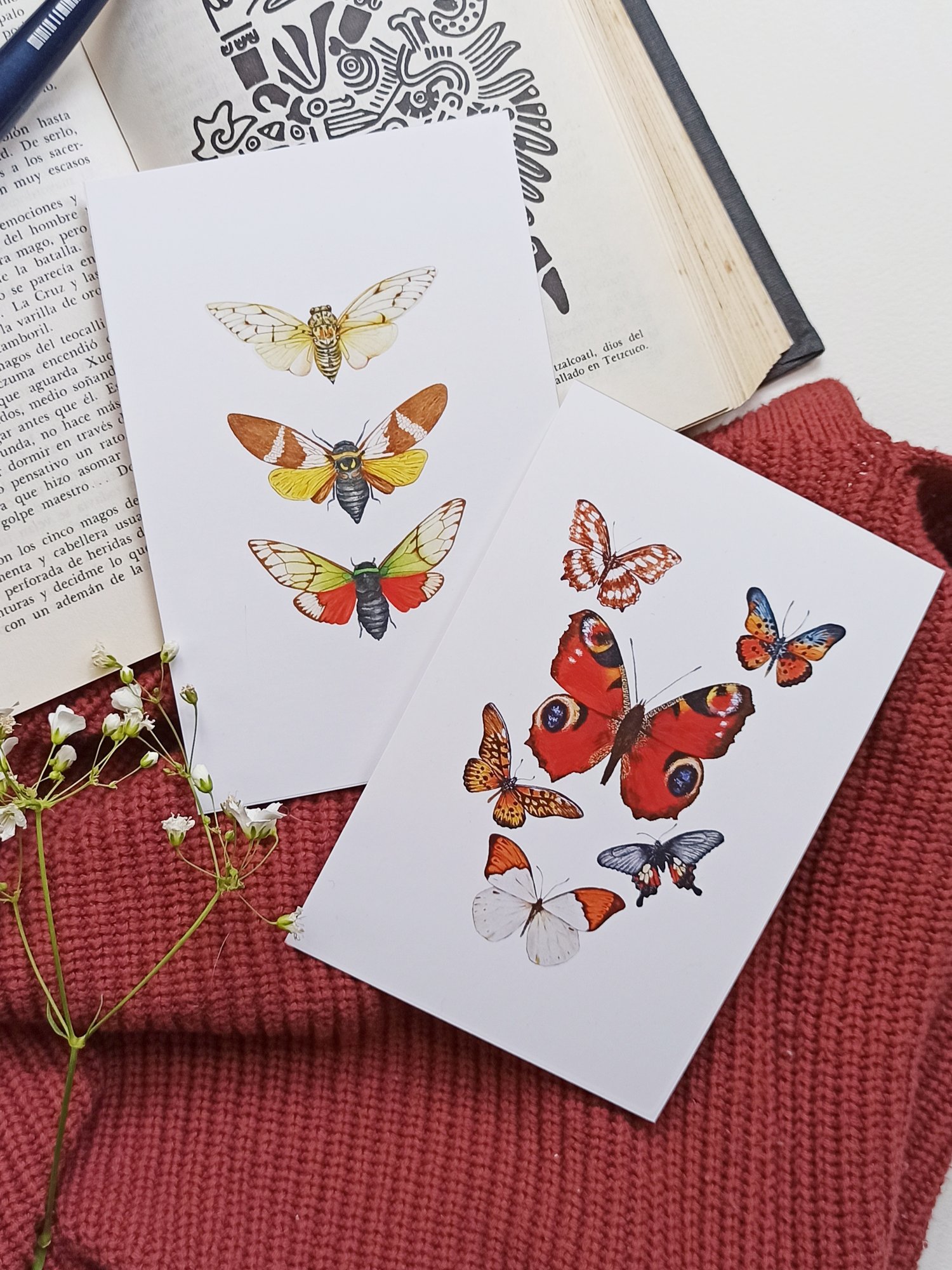 Image of Insect Postcard Set