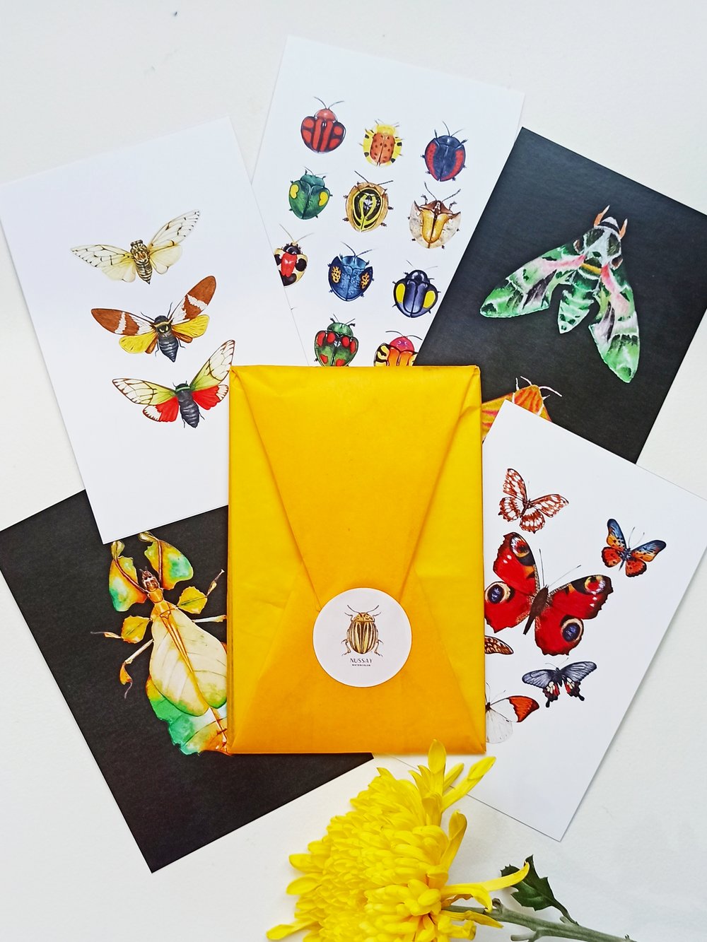 Insect Postcard Set | Nussay Art Studio