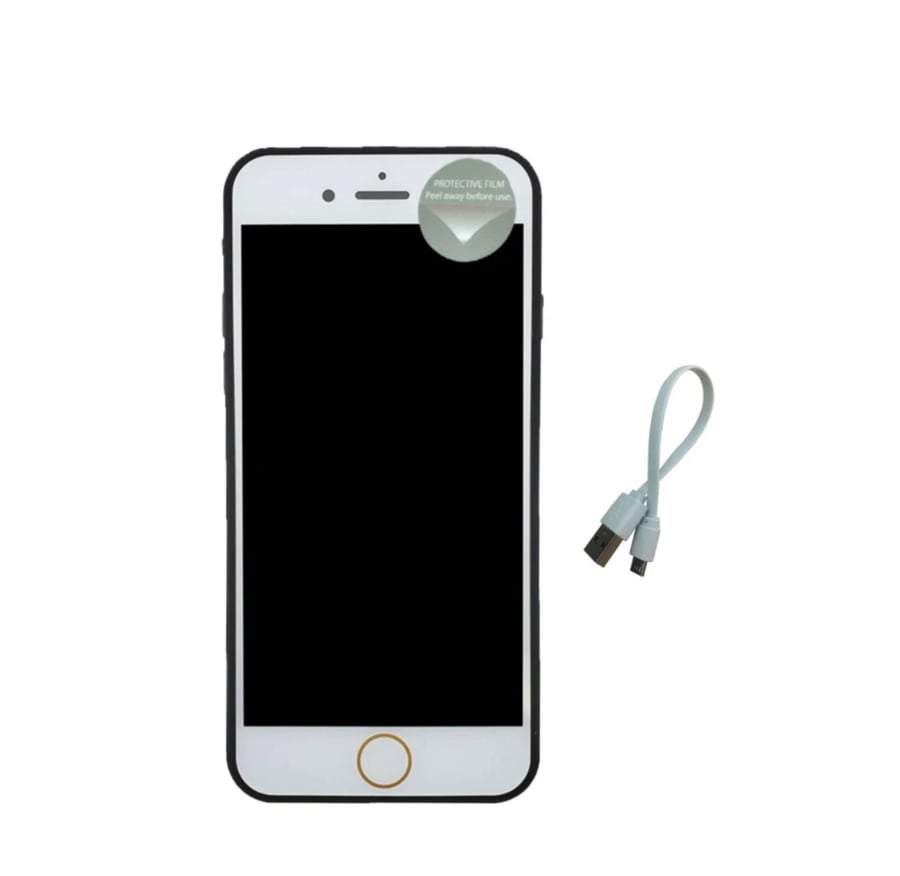 Image of  The FRiPHONE