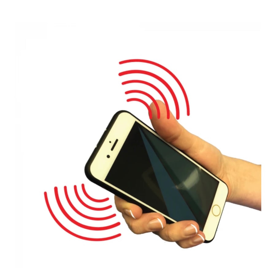 Image of  The FRiPHONE