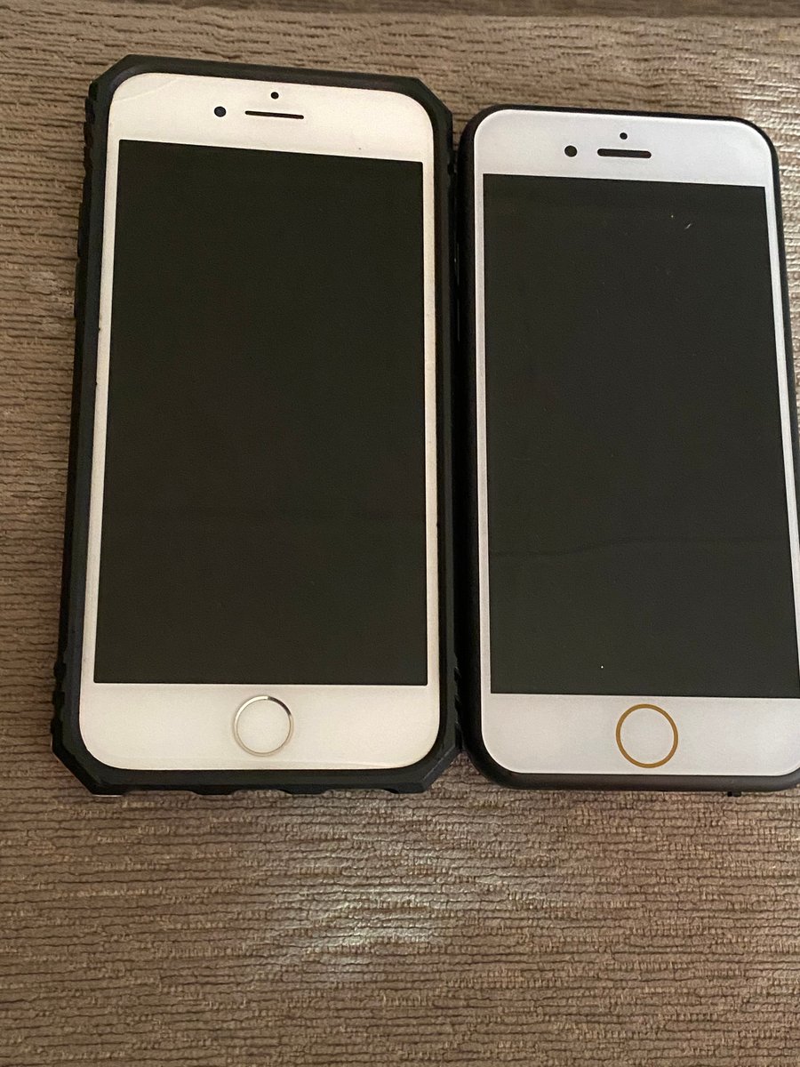 Image of  The FRiPHONE