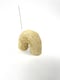 Image of 3) THE 'ARCH' - SIZE M - HONEY