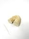 Image of 3) THE 'ARCH' - SIZE M - HONEY