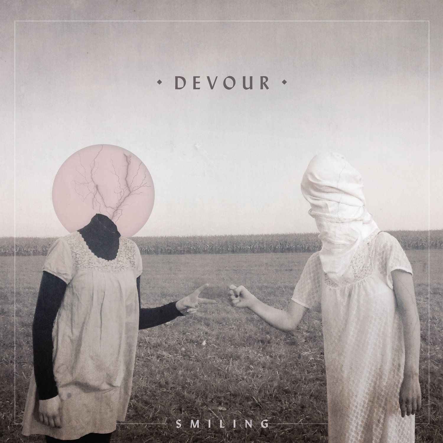 Image of Smiling - Devour Deluxe Vinyl Editions
