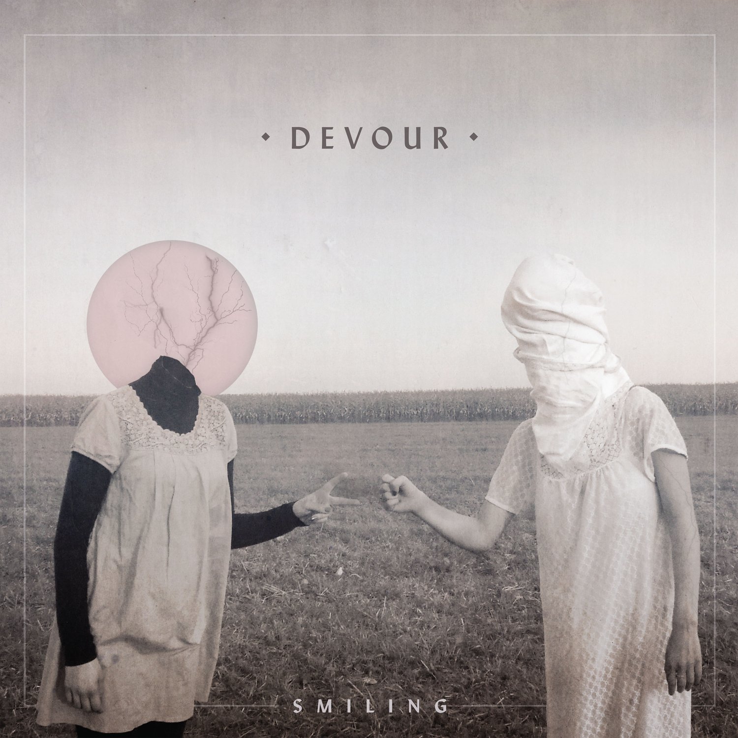 Image of Smiling - Devour Deluxe Vinyl and CD Editions