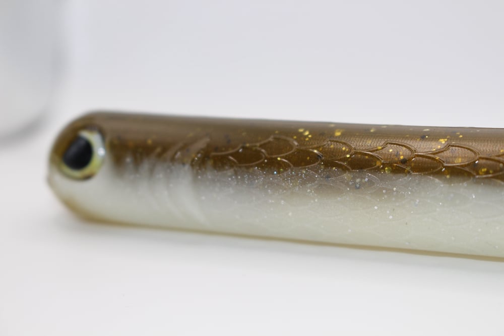 Golden Shiner 