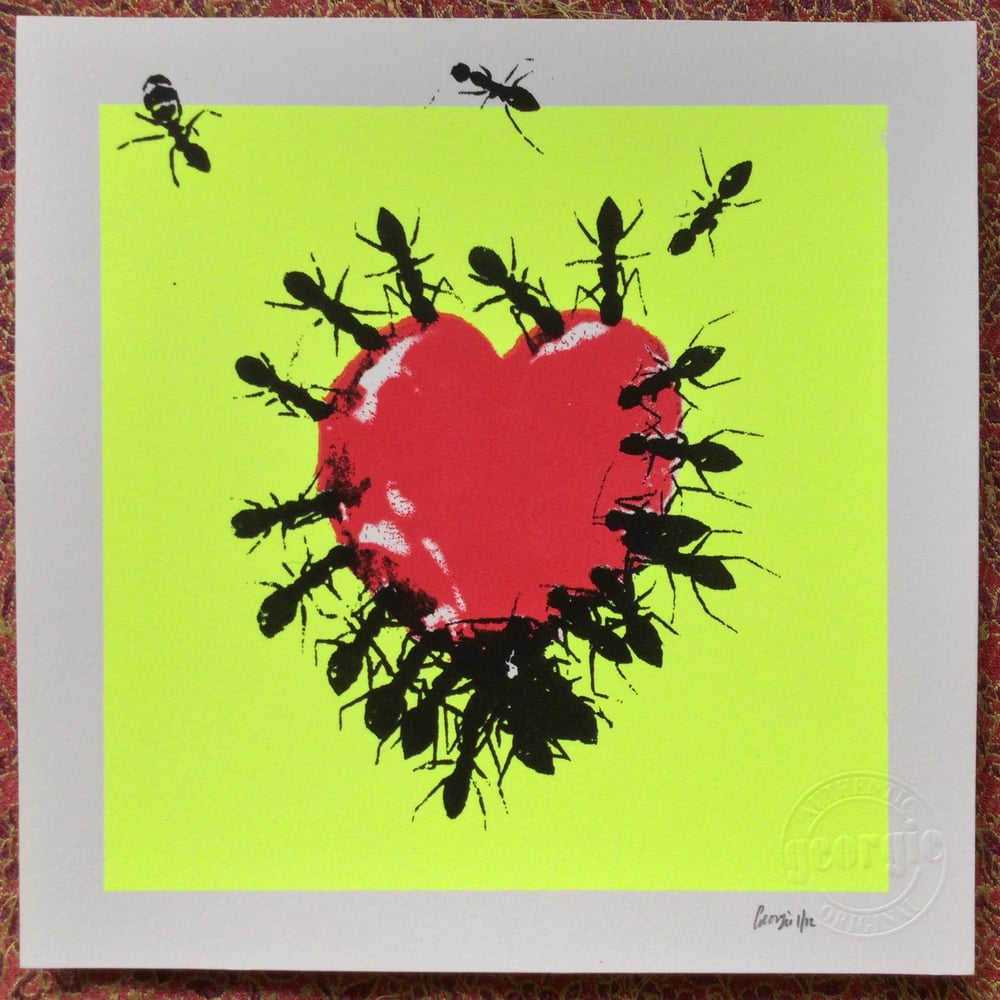 Image of Feed me love- new editions