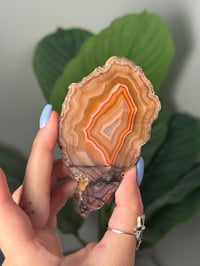 Image 2 of DOUBLE SIDED LAGUNA AGATE SLICE WITH PARALAX K