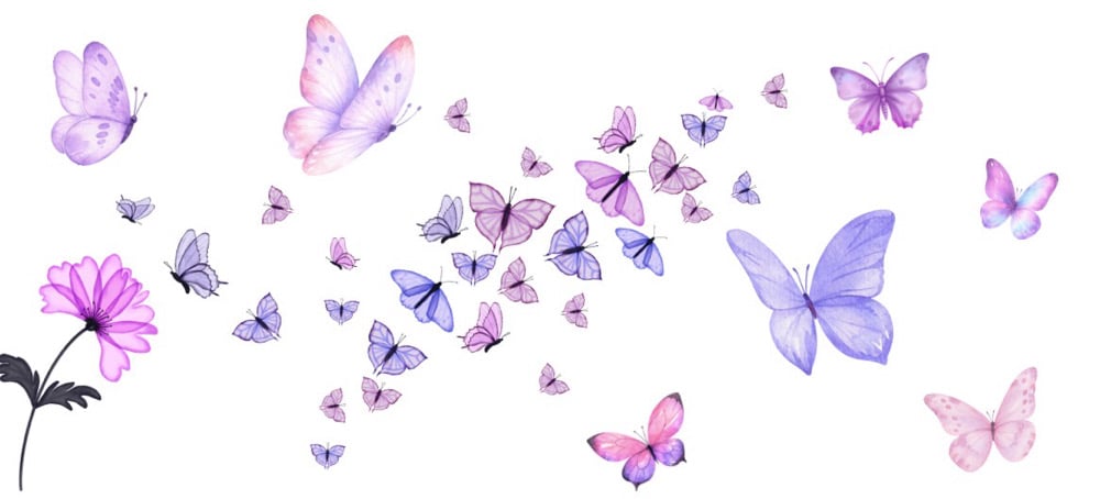 Image of Butterflies