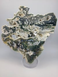 Image 4 of 3lb Moss Agate Slab Crystal Specimen 