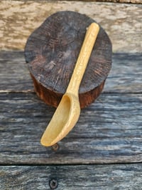 Image 3 of Grevillea small scoop.