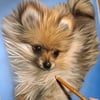 Ritratto REALISTICO a pastello cane/gatto