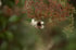 OWTOIWTN Image 3