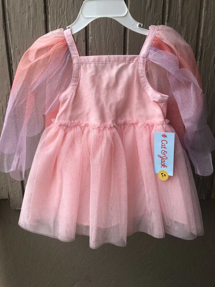 Image of  Fairy Princess Dress