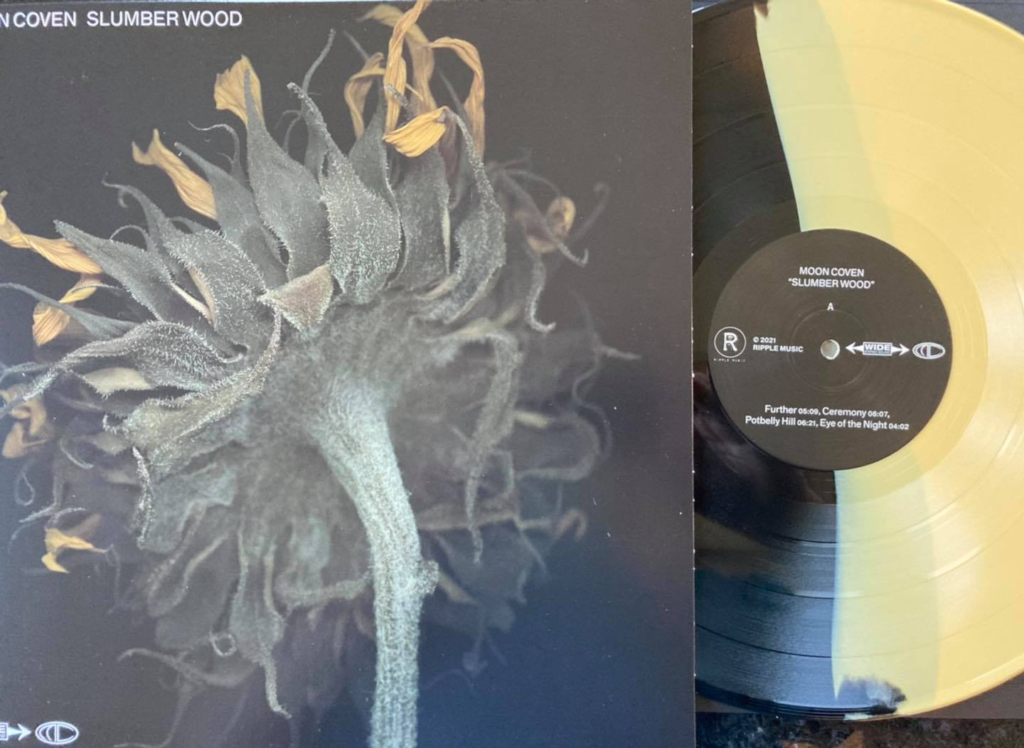 Image of Moon Coven - Slumber Wood Deluxe Vinyl Editions