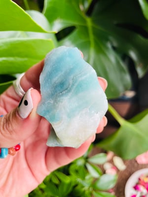 Image of Amazonite rough specimen