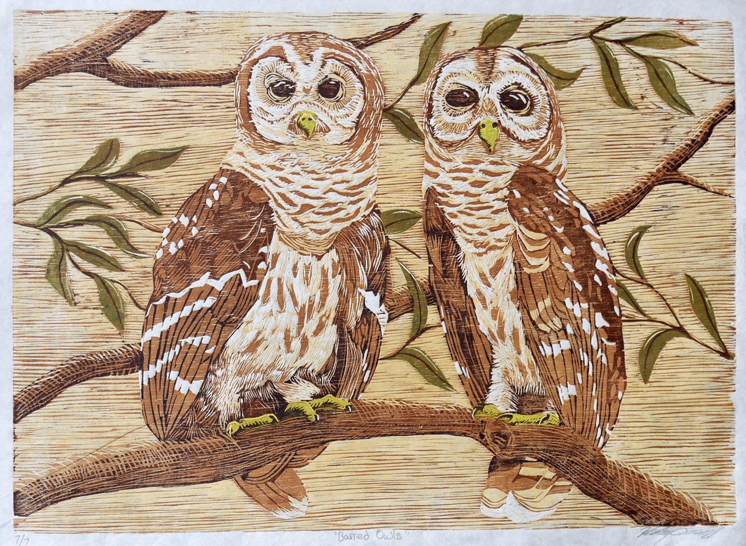 Barred Owls