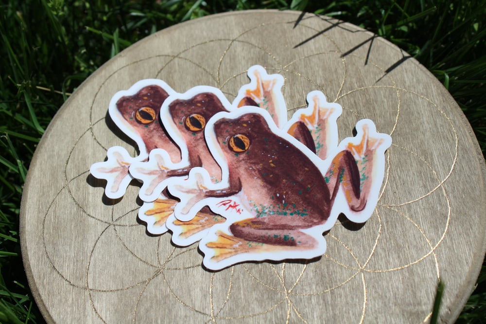 Image of Brown Frog Vinyl Sticker