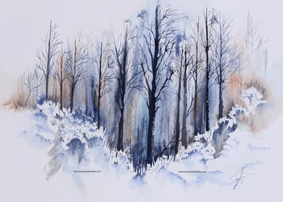 Image of Winter Trees