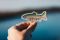Rainbow Mountain Trout Sticker