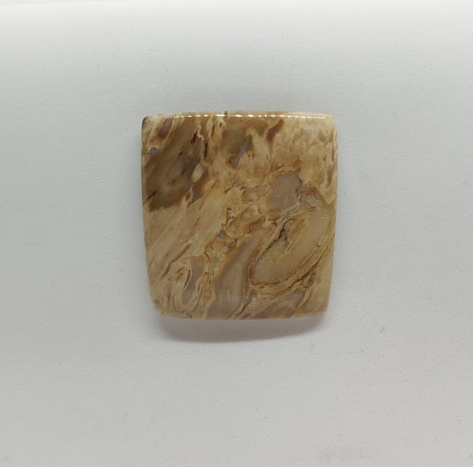 Image of Indonesian Fossil Magnetic Pin #21-521