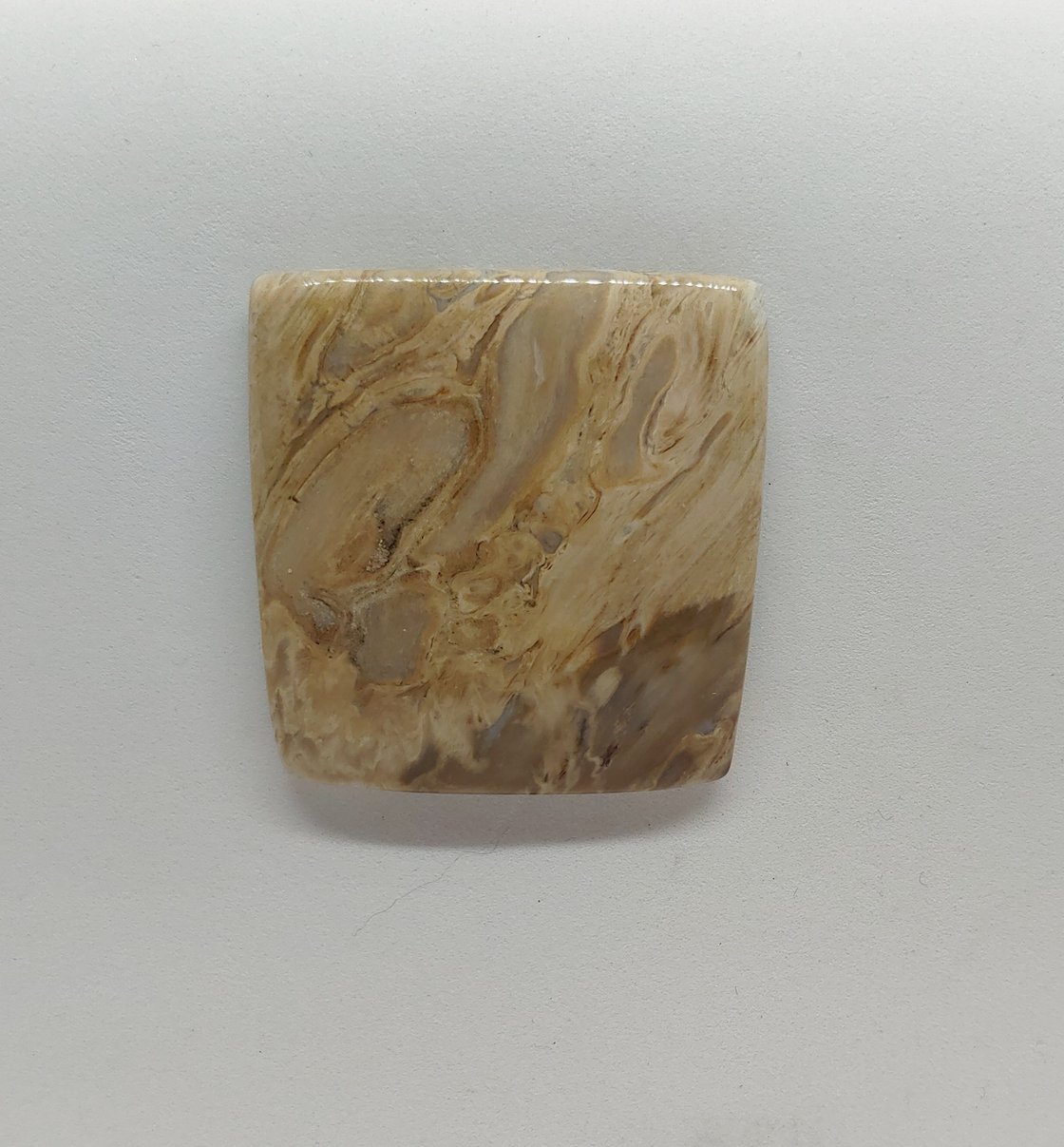 Image of Indonesian Fossil Magnetic Pin #21-521