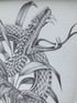 FLORA & FAUNA by Sina Hainzl Image 3