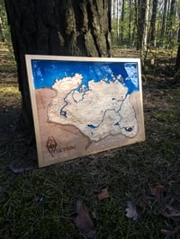 Image 5 of Skyrim plywood and resin map