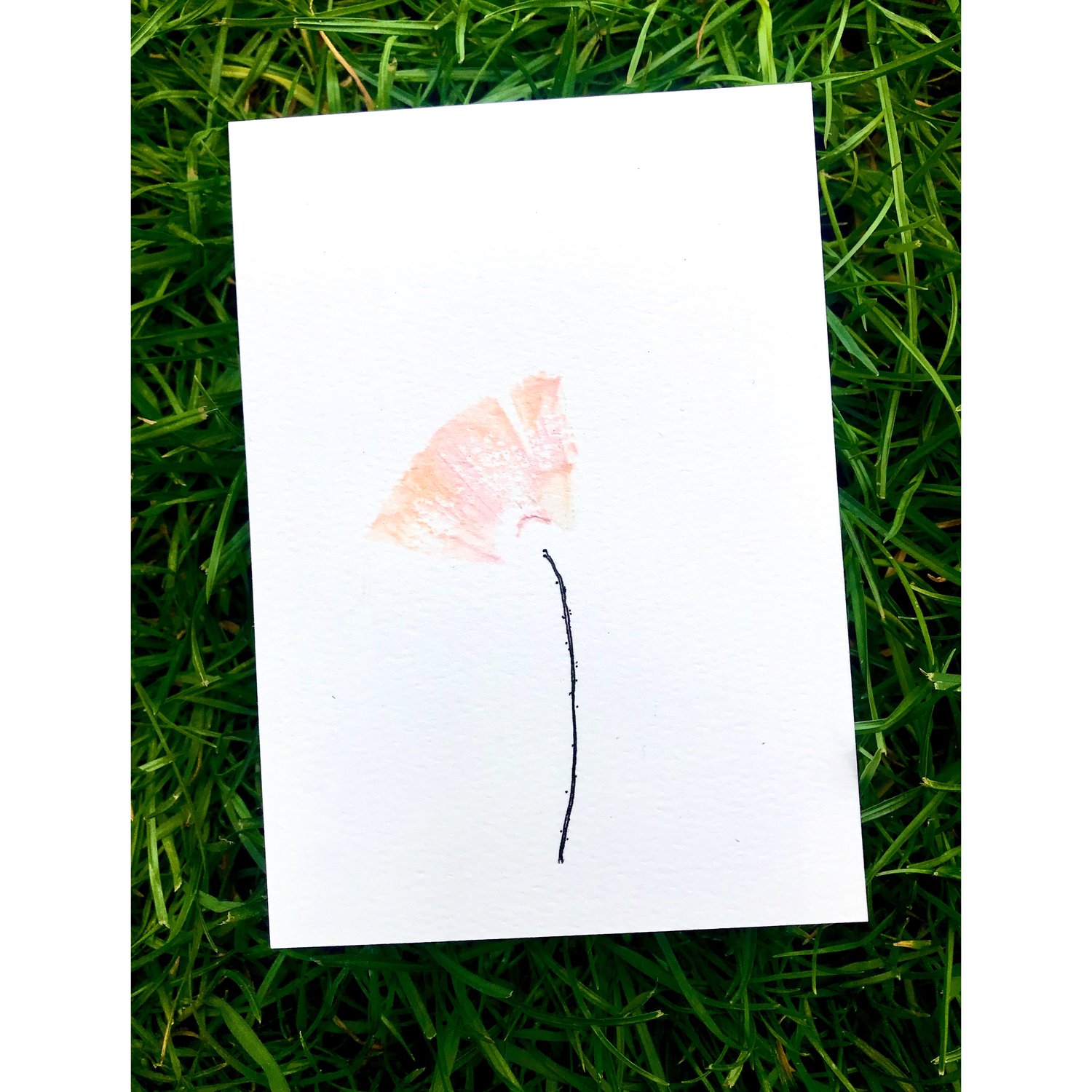 Poppy - The one - 10,4x14,7 cm, acrylic on premium aquarelle paper