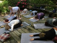 Image 1 of Japanese Garden Mini Sanctuary Session 