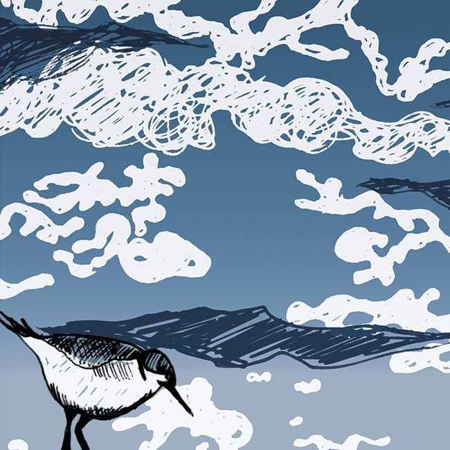 Wave Project, the lure of the sea