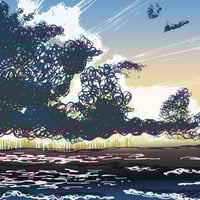 Image 5 of Wave Project, the lure of the sea