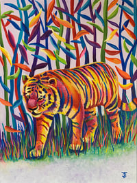 Image 1 of The Tigers Walk