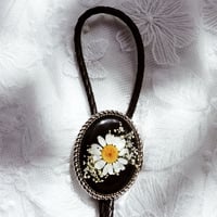 Daisy & Queens Lace Bolo *Pre-order