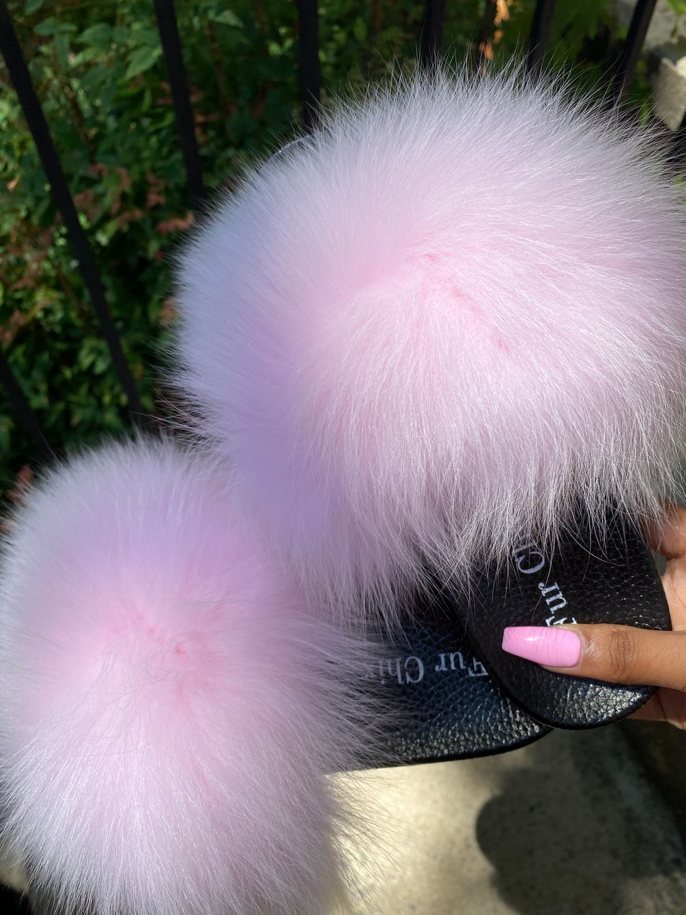 Image of Pink Fur 