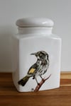 New Holland Honeyeater Canister