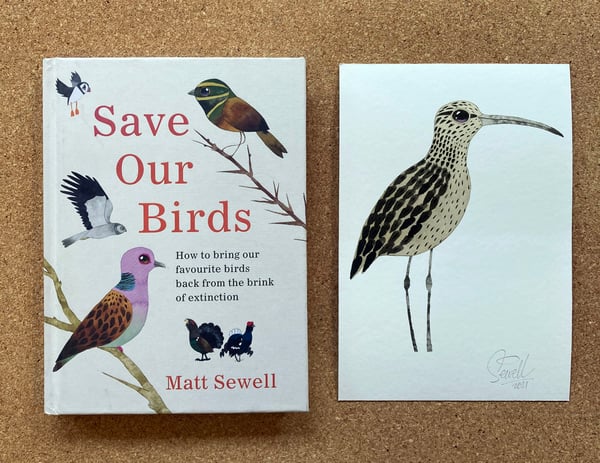 Image of Save Our Birds Hardback book & Curlew Giclée print PREORDER