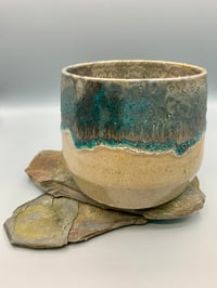 Image 2 of Sea-Bed Plant Pot
