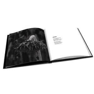 Image of Antidote CD Digibook