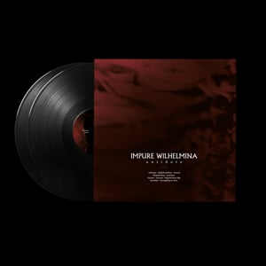 Image of Antidote 2xLP Black Vinyl