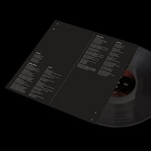 Image of Antidote 2xLP Black Vinyl