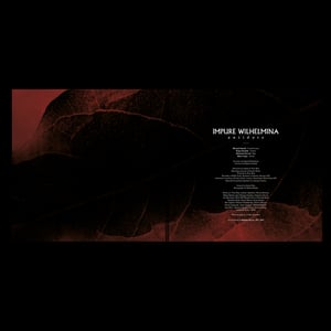 Image of Antidote 2xLP Black Vinyl