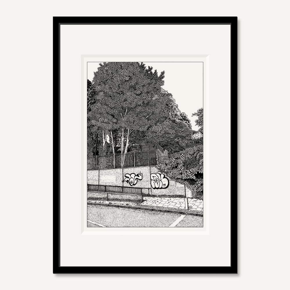 Image of Parkland #1